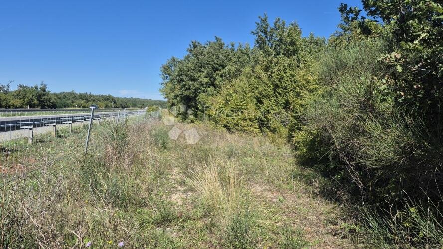 Šumsko zemljište neposredno uz istarski ipsilon 7505 m2