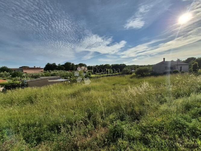 Šegotići velika građevinska parcela - 2