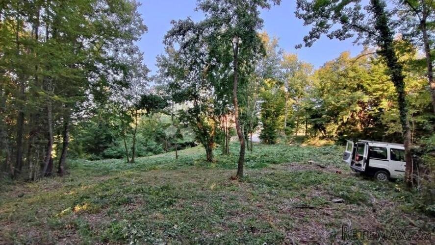 Građevinsko zemljiste Pazin 1209m2