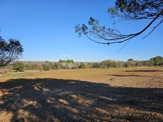 ZEMLJIŠTE U INDUSTRIJSKOJ ZONI 4485 m2, VELI VRH - 2