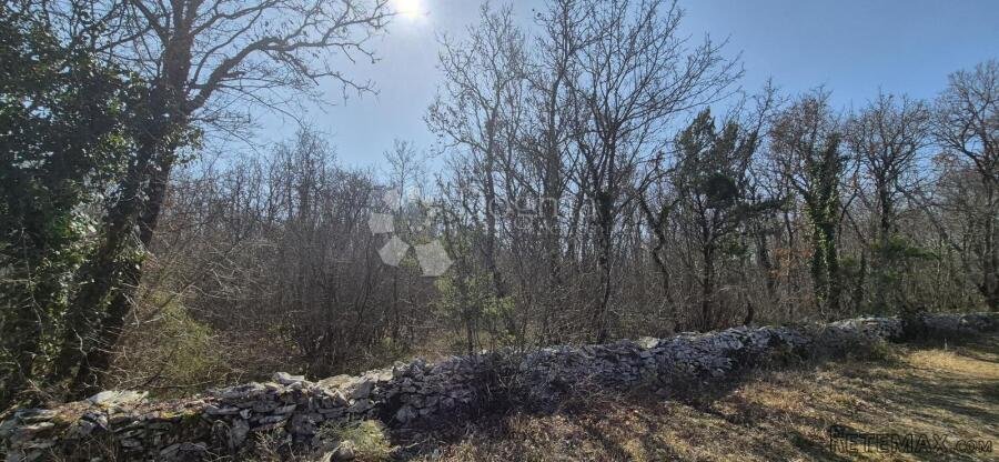 Poljoprivredno zemljište površine 23953 m2 sa ogromnim poten - 3