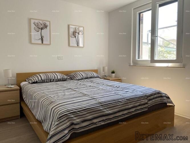Umag, Crveni Vrh, kuća s tri odvojena apartmana. Alberi. - 5