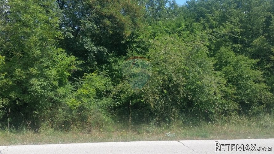 VELIKO POLJOPRIVREDNO ZEMLJIŠTE NA ODLIČNOJ LOKACIJI! - 2