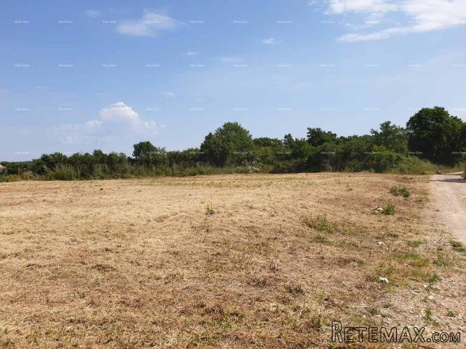 Prostrana građevinska parcela od 1700 m² u Šišanu - idealna.. - 3