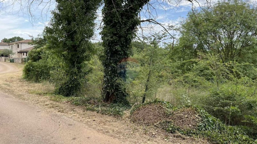 Višnjan - okolica, građevinsko zemljište u mirnom mjestu - 4