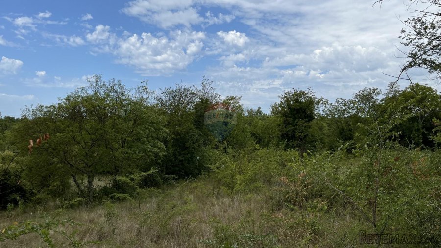 Višnjan - okolica, građevinsko zemljište u mirnom mjestu - 7