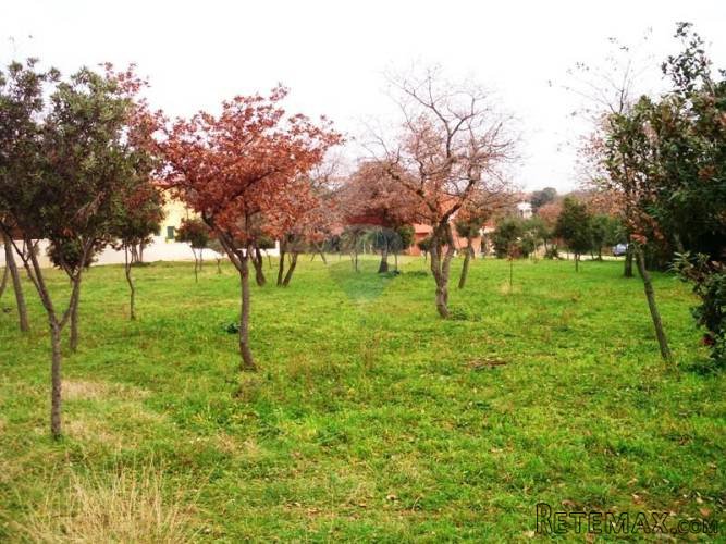 Urbanizirano zemljište 2.487 m2 u Barbarigi - 3