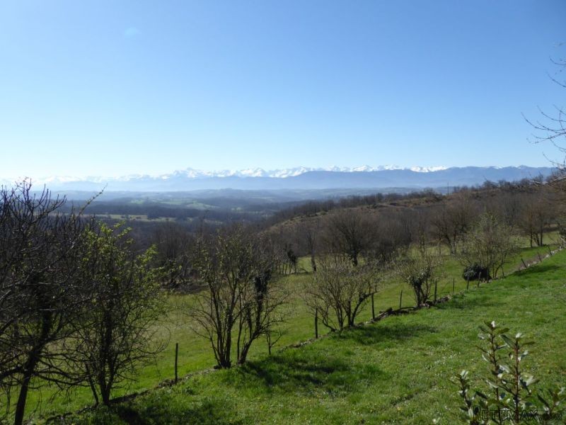 Exceptional Property Surrounded By Its.. - 2