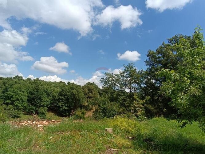Istra, Tinjan - Građevinsko zemljište u okolici Tinjana - 2