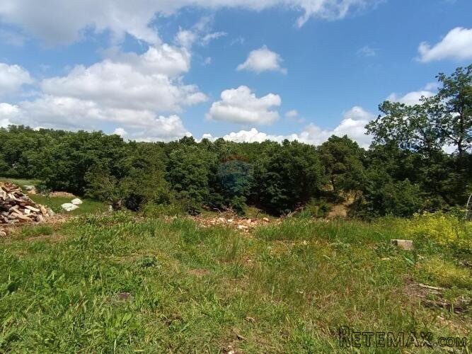 Istra, Tinjan - Građevinsko zemljište u okolici Tinjana - 3