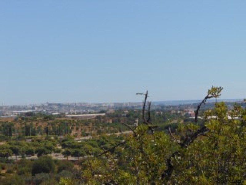 Urban land and rustic-Almancil..