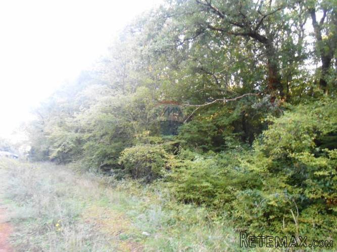 Istra, Pula, veliko građevisnko zemljište u predgrađu - 2