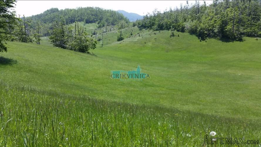 LEPENICE - 19 000 m2