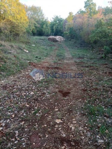 Istra, Sv. Lovreč - Knapići, zemljište 24.000 m2 - 4