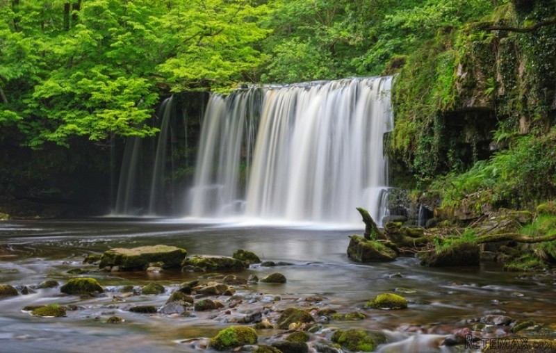 Land Plot Investment Opportunity, Afan..