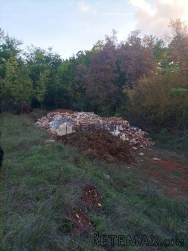 Istra, Sv. Lovreč - Knapići, zemljište 24.000 m2 - 5