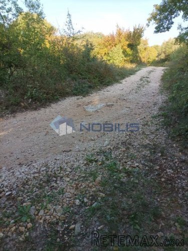 Istra, Sv. Lovreč - Knapići, zemljište 24.000 m2 - 6