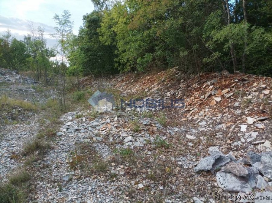 Istra, Sv. Lovreč - Knapići, zemljište 24.000 m2 - 8