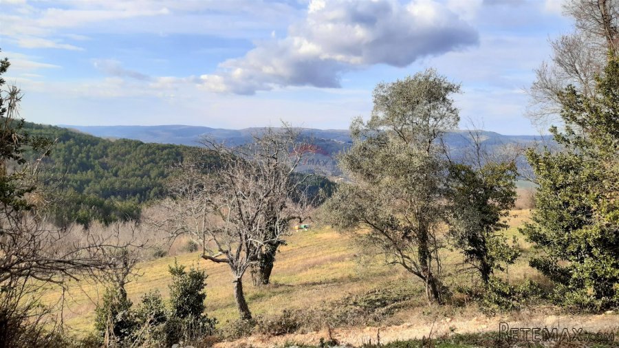 Istra, Motovun okolica - kuća sa dvorištem - 10