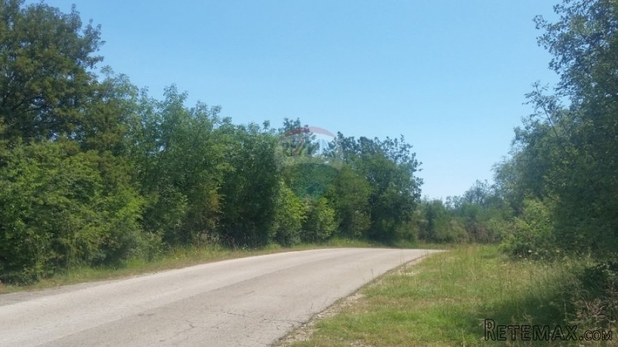 VELIKO POLJOPRIVREDNO ZEMLJIŠTE NA ODLIČNOJ LOKACIJI!