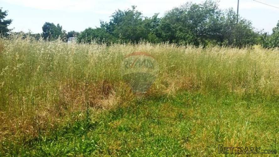 POLJOPRIVREDNI TEREN U VALTURI 12132 m2