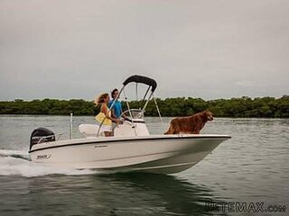 17' Boston Whaler 170 Dauntless 2020