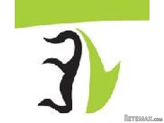 MLM Software Development in Surat