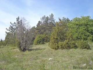 Istra zemljište za prodaju 4.047 m2