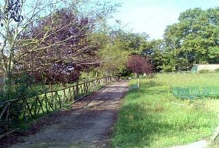 VITERBO, INVESTMENT