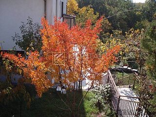 Matulji, samostojeća kuća
